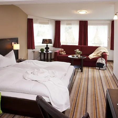 Goebel's Gaestehaus Am Park 3* Виллинген